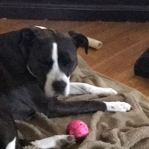 Meet your Posher, Karen